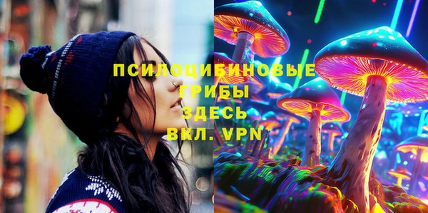 мдпв Пестово