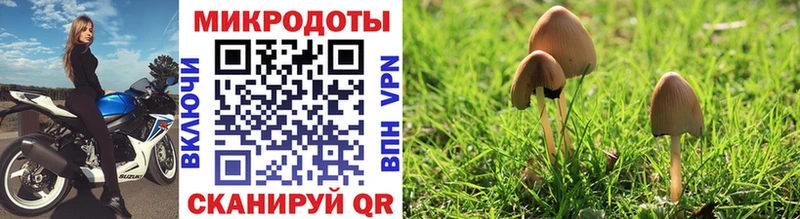 Псилоцибиновые грибы GOLDEN TEACHER  Лангепас 
